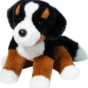 Bowie Bernese Mountain Dog