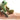 Sitting Frog Finger Puppet