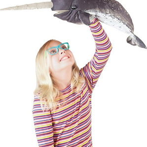 Narwhal