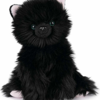 Xavier Kitten, 9 In