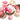 Strawberry Dessert Set