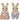 Milk Rabbit Family