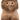 Amuseables Peanut Yeti Outfit