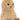 Amuseable Peanut