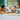 LEGO DUPLO My First: Creative Vehicles