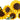 LEGO Botanicals: Sunflower Bouquet