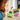 LEGO® Botanicals Rocking Plants