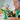 LEGO Botanicals: Daisies