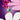 LEGO® Botanicals Cosmos Flowers