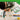 LEGO Minecraft: Mini Biomes