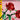 LEGO® Iconic Roses
