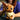 LEGO Pokémon Eevee