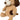 Again Friends Eco Puppy