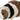 Gizmo Guinea Pig