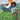 A Song for You and I: (A Graphic Novel)
