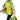T-Rex Hooded Cape - Green