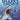 Sharks of the World Coloring Book