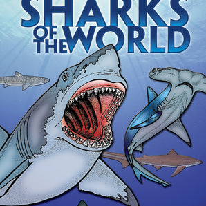 Sharks of the World Coloring Book
