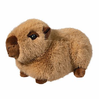 Chattie Capybara