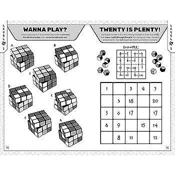 Rubik's Pocket Puzzles