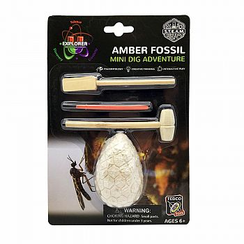 Amber Fossil Dig