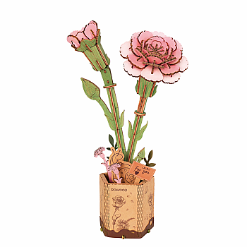 Pink Carnation Kit