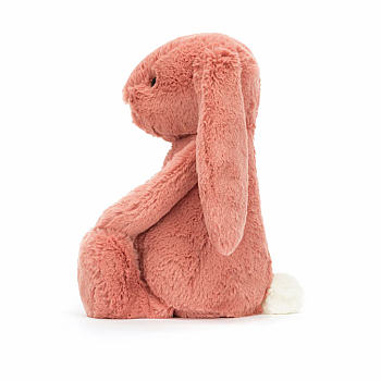 Bashful Sorrel Bunny