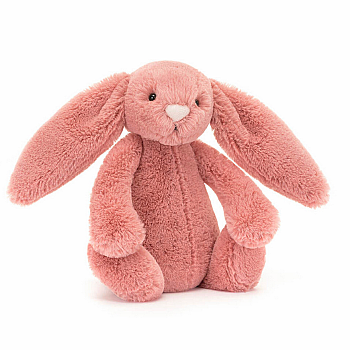 Little Bashful Sorrel Bunny