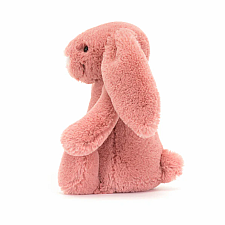 Little Bashful Sorrel Bunny