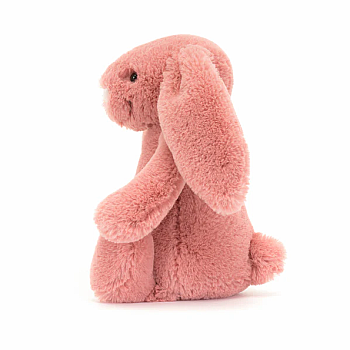 Little Bashful Sorrel Bunny