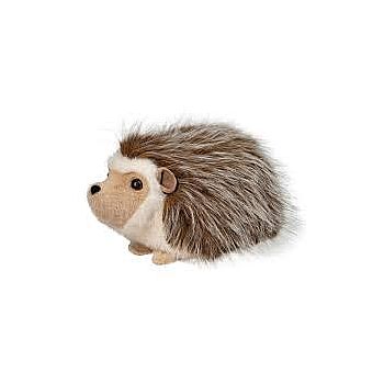 Bristle Hedgehog