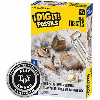 Real Fossils Excavation Kit